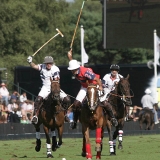 Polo, Commercial Wedding Photographers: Photoscience.co.uk